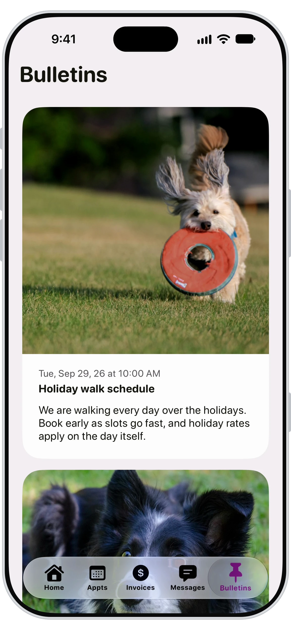 Walkies Journal app showing bulletins and announcements from a pet sitter